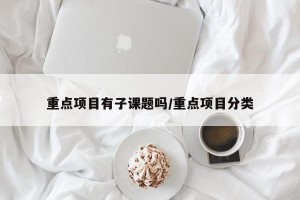重点项目有子课题吗/重点项目分类