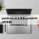 pandemic什么意思(pandemic的汉语)