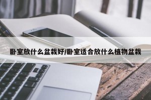 卧室放什么盆栽好/卧室适合放什么植物盆栽