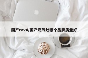 国产rav4/国产燃气灶哪个品牌质量好