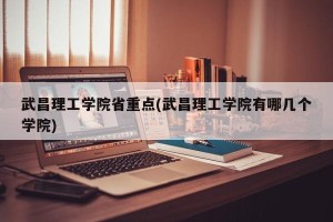 武昌理工学院省重点(武昌理工学院有哪几个学院)